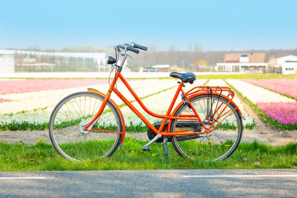 bicycle rental Noordwijk