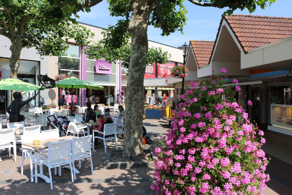 Lisse flower village
