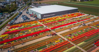 Tulip Experience Noordwijkerhout